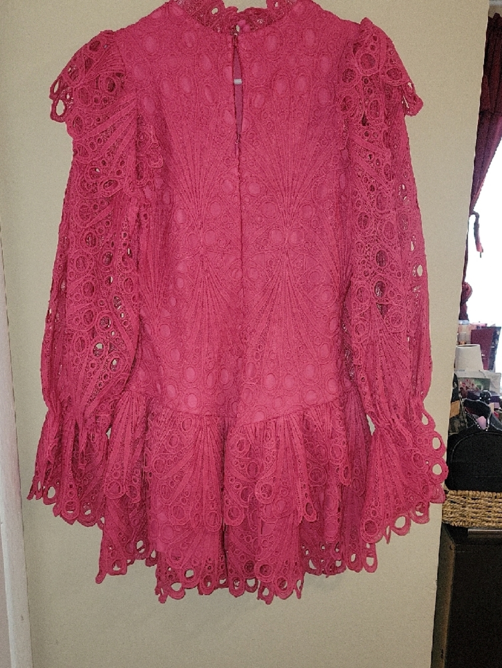 Hot Pink Lace Ruffled Mini Dress - Picture 4 of 11